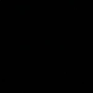 Meet your Posher, Maya